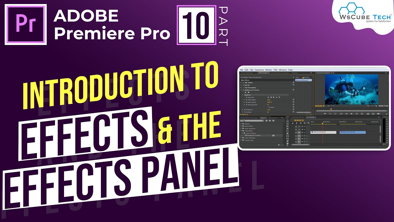 Part 10- Effects Panel & Effects Controls In Premiere Pro (Hindi) | How to Use Effect Controls Premiere Pro